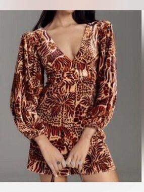 FARM Rio Brown & Tan Animal-Print Long Sleeve Dress
